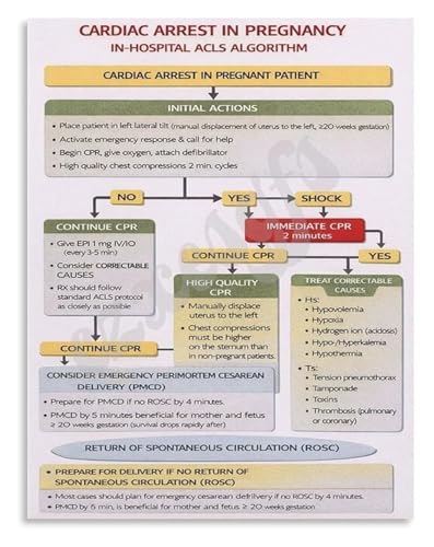 Obstetric Emergency Response Poster Cardiac Arrest in Pregnancy Flowchart for Hospital Staff Education(Framed,16x24inch(40x60cm)