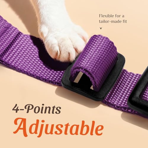 Image of Dooradar Cat Harness and Leash Set, Escape Proof Safe Adjustable Kitten Vest Harnesses for Walking, Easy Control Soft Breathable Mesh Jacket with Reflective Strips for Cats, Purple, XS