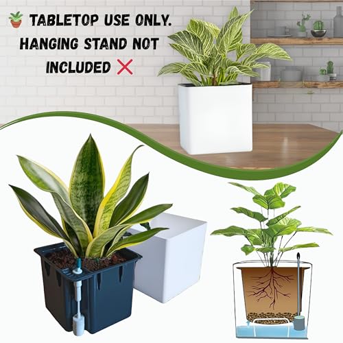 Image of Indian Discovery Self Watering Tabletop Planter| Flower Pots for Home, Terrace, Balcony, Vertical Garden Decor Flower Pots(1 PC, White, Square) |6 Inch UV-Resistant Plastic Plant Pots