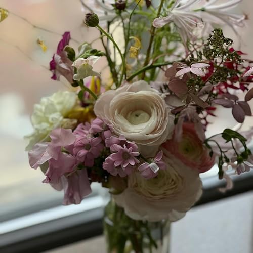 Play Boombox Vibes by Aleksandar Pametar Djordjevic on Amazon Music