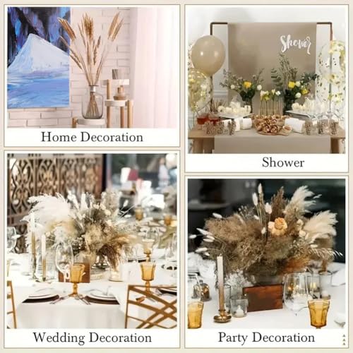 7PCS Ramo de Flores Secas Decorativo de Pasto Pampas miniatura 5