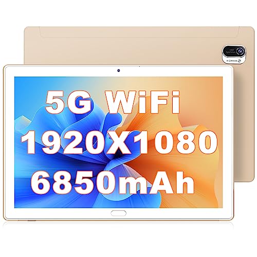 AOYODKG Tablet 10 Pollici Android,Tablet PC con WiFi,Bluetooth,Batteria 6850 mAh Tablet In Offerta,HD pixel Tab,OTG