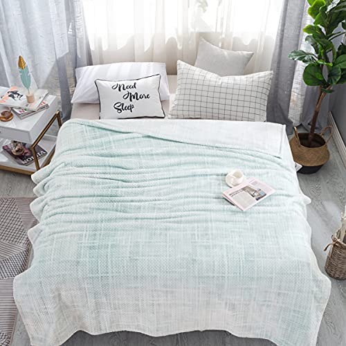 Flannel Fleece Blanket Throw, 400gsm Jacquard Weave Soft Plush Velvet Flannel Blanket for All Seasons, Lightweight Cozy Warm Comfy Bed Couch Car Office Throw (Light Green, 50''60'')