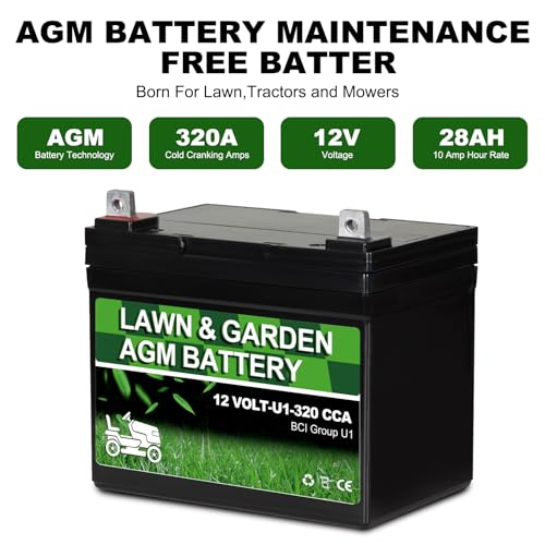 Autocessking AGM Battery - Maintenance Free