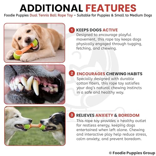 Image of Foodie Puppies Durable Cotton Rope Chew Toy for Dogs (Double Tennis Ball) | Chewing, Fetching, Playing, Teething & Training for Small to Medium Dogs & Puppies (Color May Vary)