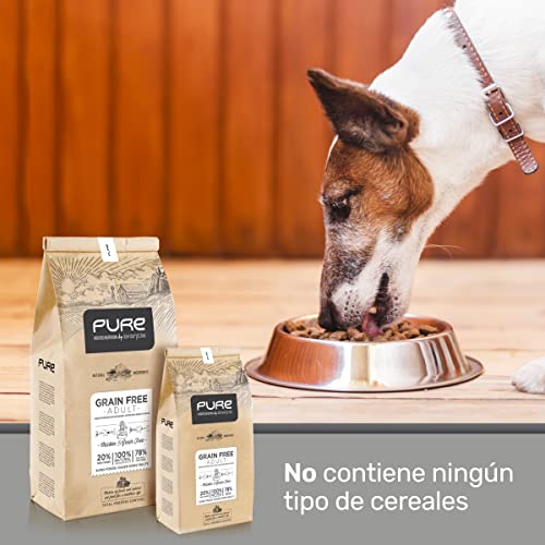 Avantis Pet Pure Grain Free Adult – Futter für Erwachsene Hunde Aller Rassen – 2 kg – 100% vollständiges und ausgewogenes Futter – mit Huhn und Getreide für Hunde mit Intoleranz und Allergie