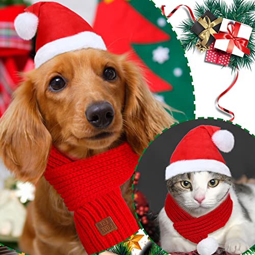 6 piezas disfraz navideño para perro con gorro y bufanda miniatura 5
