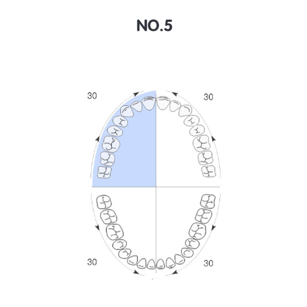 PAR automática Sonic para Adultos en Los Cepillos de dientes suaves para hombre y mujer – [DOS colores opcionales] – Romeo 4 cabezas de cepillos + caja de viaje (Color: B)