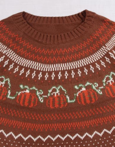 Image of Womens Fair Isle Sweaters Long Sleeve Crewneck Fall Winter Pullover Sweater