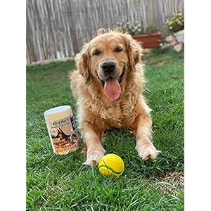 Dog eye wipes tear stain daily cat dog eye cleanerpet tear stain remover Removes dirt and discharge around the eye and ear area 80 wipes jar   cucciolini doodles