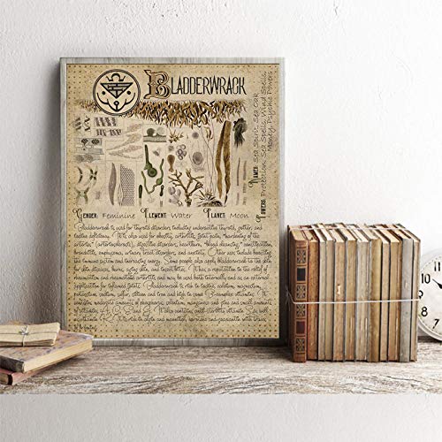  Poster E Stampe Decorative,Libro delle Ombre Poster Pagine di Erbe Stampe Stregoneria Herbal Grimoire Bos Fogli Magic Canvas Painting Decorazione Erbario, Poster Vintage per Camera_40X60Cm