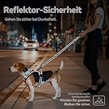 PHOEPET No Pull Hundegeschirr Verstellbares Hundewestengeschirr für den täglichen Spaziergang mit Schnalle am Hals und reflektierenden Streifen, Kontrollgriff für mittlere und große Hunde(Rot,XL)