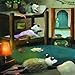 Opossum Disco: A Night Out With Alphabet Action Verbs