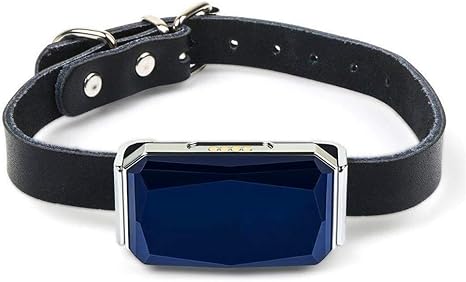 cat tracking collar amazon