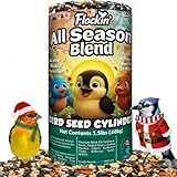 All Year Round Bird Seed Cylinders with Hole – All Season Wild Bird Food for Blue Jays, Cardinals, Doves, Finches & More – Balanced High Energy All Natural Blend, No Fillers – USA Made (4" x 7.75")