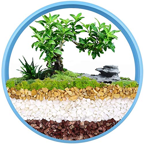 Macetas Redondas de Metal para Colgar en la Pared, para Colgar en la Pared, Maceta Vertical, contenedor para suculentas, Soporte para Plantas de Aire, decoración de Pared (Azul, 12 Pulgadas)