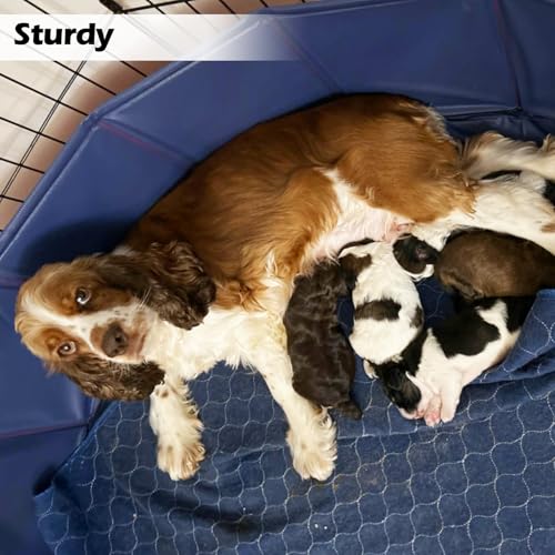Artilife Whelping Pen for Dogs,Whelping Box for Small Dogs and Puppies,Dog Birth Supplies,Portable Whelping Pool Whelping Box(32" Dia.x8 H)
