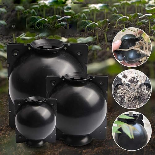 SagaSave 1 kit de propagação de camadas de ar com plugues e fechaduras de canto, bola de enxerto reu