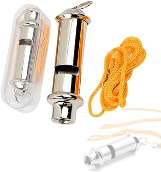Whistle, 2 Pcs Metal Police Whistle with Lanyard Security Bobby Style Super Loud Emergency for Hike Climb Camp Outdoor, Silver