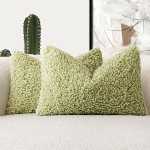 Image of Foindtower Set of 2 Curly Teddy Wool Pillow Covers Decorative Boucle Textured Lumbar Throw Pillow Faux Fur Sherpa Pillowcases Sheepskin Fuzzy Cushion Case for Sofa Bedroom Car 12 inchx20 inch Leaf Green