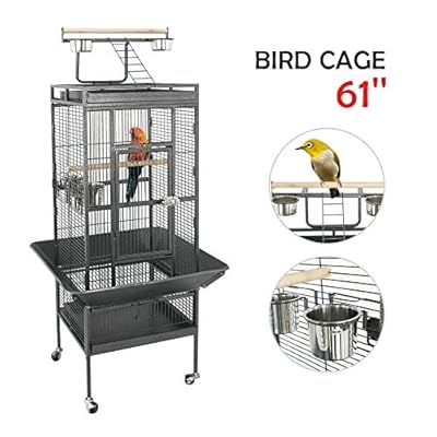 Amazon Com Cage Bird