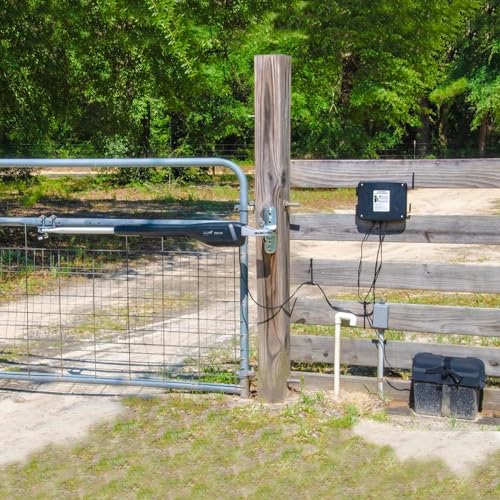 View 5