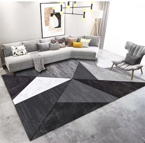Tapis tout doux et anti-taches 200x300cm idéal pour salon et chambre