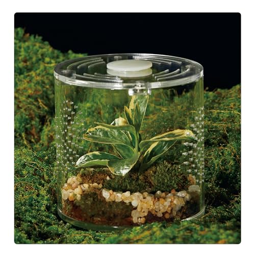 Acrylic Terrarium for Reptiles & Spiders –