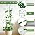 KINGLAKE Plant Trellis for Climbing Plants Indoor Outdoor - 2 Pack 32.7 Inch Green Expandable Metal Garden Trellis for Potted Climbing Plants Support Flower Vine Ivy Monstera Houseplant with Tape