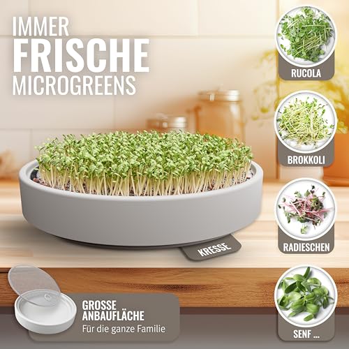 Foto von seed&eat Kressesieb (16cm), Anzuchtschale für Kresse & Microgreens, mit Sprossenheft, Keramikschale + Edelstahlsieb