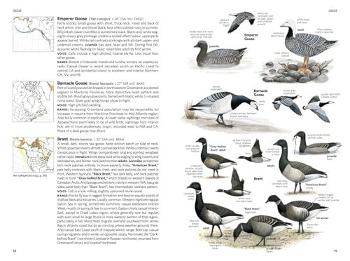 National Geographic Field Guide to the Birds of North America, 7th Edition - Image 2