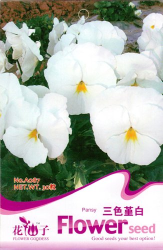 Pansy Seed 30 Bianco Viola tricolor viola del pensiero, Seed brillante fragrante A087 orientale By Mikedaoer