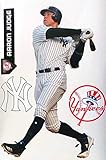 New York Yankees Aaron Judge Fathead Teammate 2017