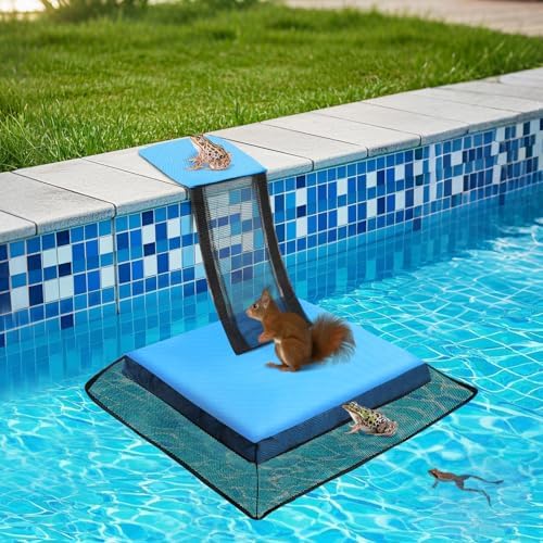 Critter Ramp Amazon.com : MorTime 2 Pack Animal Saving Escape Ramp, Swimming Pool ...
