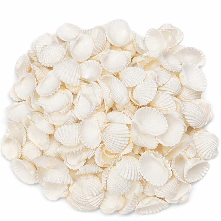 Nivip White Natural Seashells 400g (3 cm) – 120+ Pieces for Aquarium, Vase Filler, DIY Craft & Resin Art