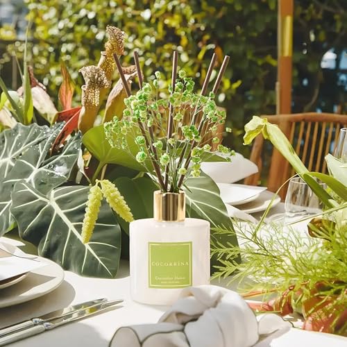 Image of COCORRINA Reed Diffuser - Cucumber Melon 6.7 fl oz Reed Diffuser with Sticks, Home Bedrrom Bathroom Shelf Decor