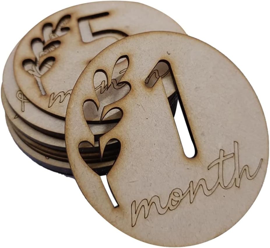 Wooden Monthly Milestone Discs for Baby Photos/Baby Milestone Cards/See Animals- Milestone Cards/New Baby Gift/Baby Shower Gift, 13 Count