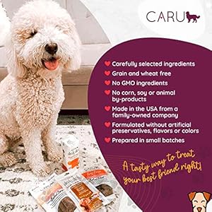   CARU-Soft-n-Tasty-Baked-Bites-Wild-Boar-Bites-Dog-Treats-Flavorful-Training-Treats-375-oz