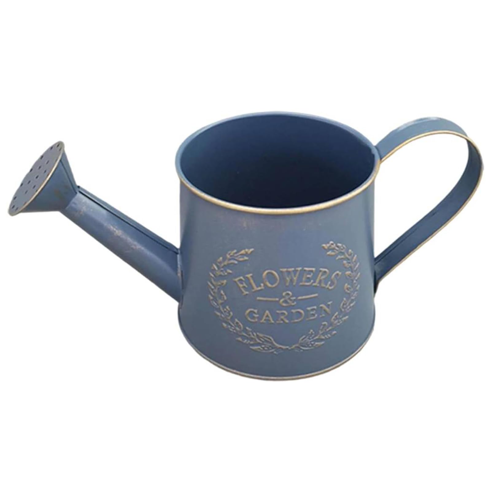 Vintage Metal Flower Watering Can with Handle Small Garden Watering Bucket Galvanized Metal Watering Can for Indoor Plants Succulents Balcony and Outdoor (Blue)