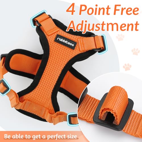 Image of rabbitgoo Cat Harness and Leash Set, Escape Proof Vest, Orange | Soft Breathable Mesh, Easy Adjustable Fit, Snap Buckles, Sturdy Clip, Reflective Strips, for Small & Average Cats Walks, Xs