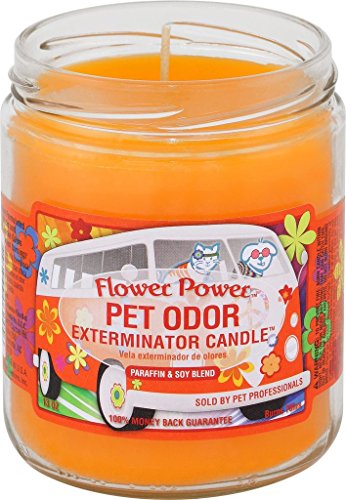 Image of Flower Power Pet Oder Exterminator Candle 13 oz