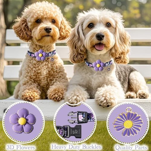 Collar para perro mediano con flor miniatura 2