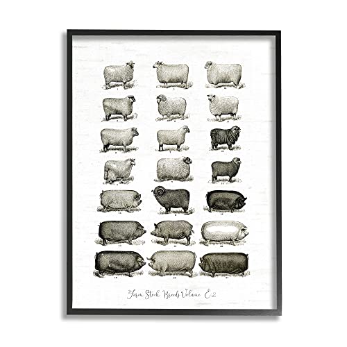 Image of Farm Animal Breeds Diagram Chart, 16 x 20 Inch Framed Giclee Print | Stupell Industries . By Lettered and Lined . Ready to hang . Great for farmhouse decor . Made in USA