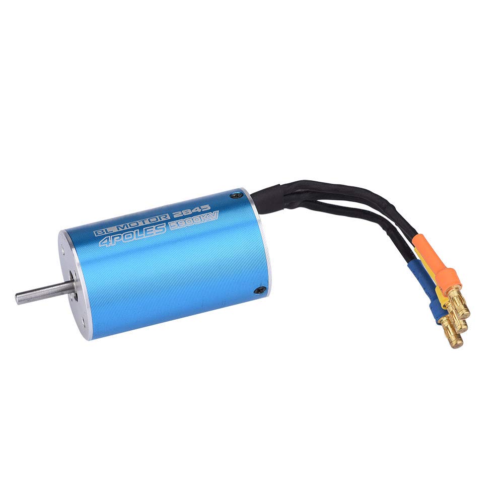 2847 Brushless Motor 3700Kv 5900Kv for 1 12 and 1 14 Scale RC Cars Blue Metal 4 Pole 12 Slot Design (5900KV)