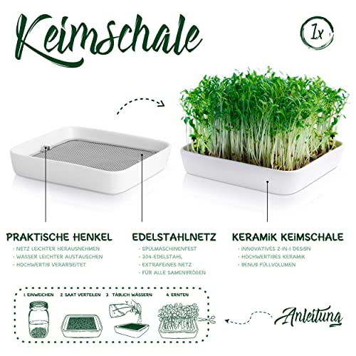 Sprossengläser von ZenGreens im Set für eigene Sprossenzucht