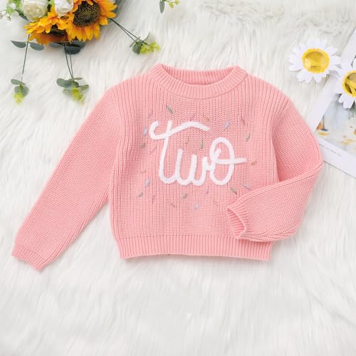 Baby Girls Boy 1st Birthday Outfit Sweater Top Fall Winter Clothes Long Sleeve Knit Pullover Top Cake Smash Sweatshirt3