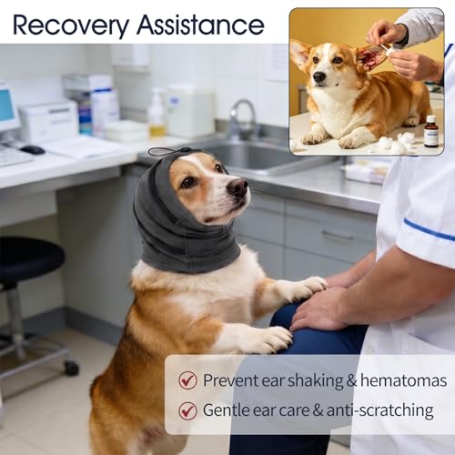Image of IECOii Small Ear Wrap Dog Ear Cover for Noise Protecion(Gray,Small) | Doggie Calming Hoodie for Anxiety Relief in Thunder Firework Breathable Soft No Shake Adjustable Patches for Dogs Hematoma