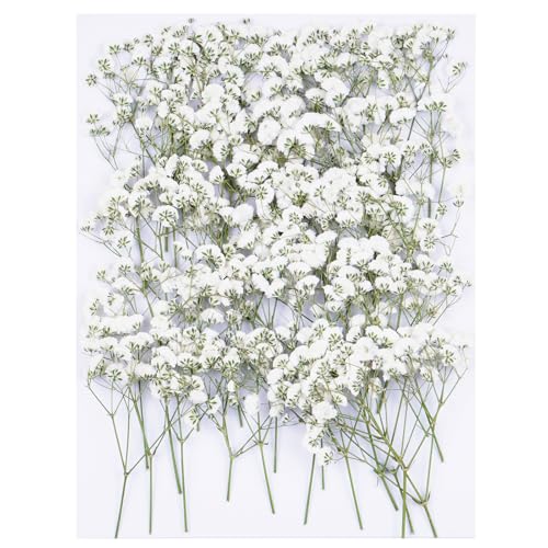 50Pcs Babys Breath Dried Pressed Flowers for Crafts,Xinxinran White...