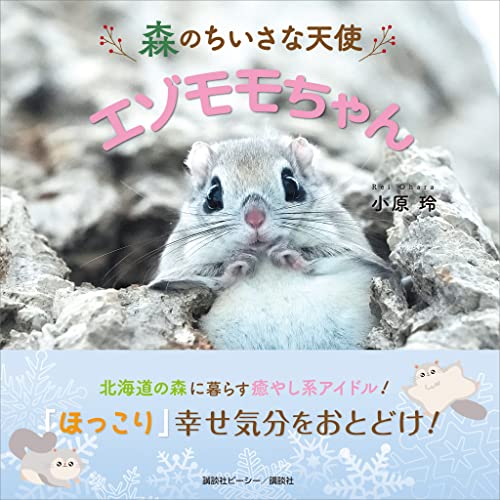 森のちいさな天使 エゾモモちゃん