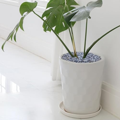 Miniatura 5 de Grava para suculentas y cactus de 10 libras, guijarros pulidos decorativos naturales de 15 pulgadas para paisajismo, rocas de río gris para plantas,